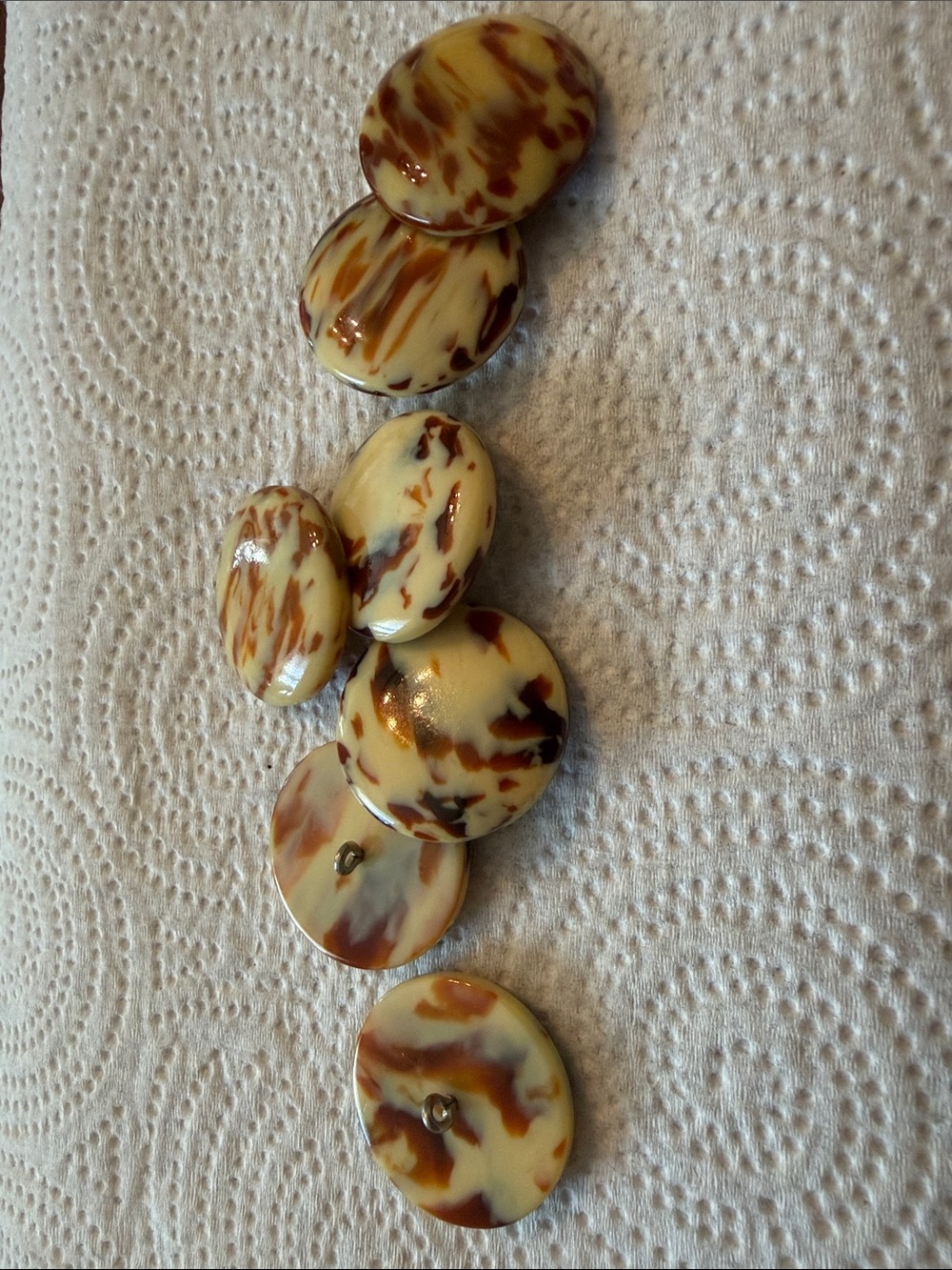 Lot of 7 - Tortoiseshell Round Buttons - Cream and Brown